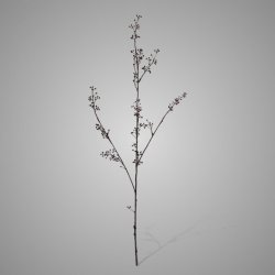 Wild Twig with Berries Grande Dark Brown 103 cm