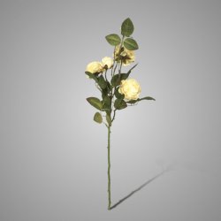 Wild Roses Off White 67 cm