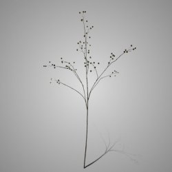 Rose Hip Branche Green 134cm