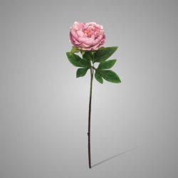 Peony Ant. Pink 61  cm