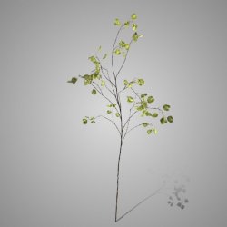 Silver Dollar Spray Lalu Green 138 cm