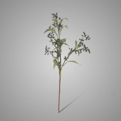 Eucalyptus Buds Dark Purple 78 cm