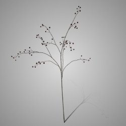 Rose Hip Branche Burguny 134cm