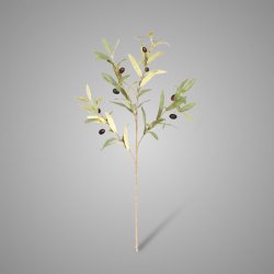 Olive Twig  120 cm