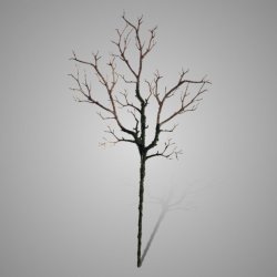 Branch Moss 80 cm