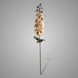 Delphinium Yellow Pink 75 cm