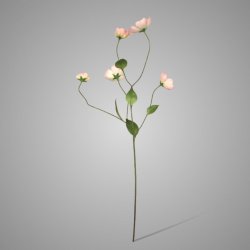 Melastoma spray pink 76cm