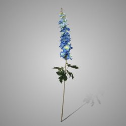 Delphinium Grande Spring Blue 105 cm