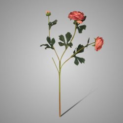 Triple Peony Dark Pink 59 cm