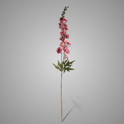 Delphinium Pink 90 cm