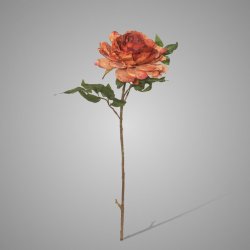Peony Copper 65 cm