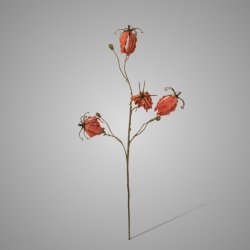 Gloriosa Pink 80 cm