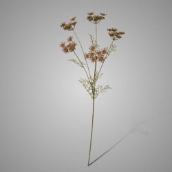 Single Lace Flower Brown 80 Cm