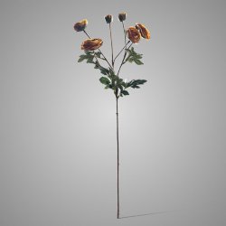 Ranunculus Dark Yellow 66 cm