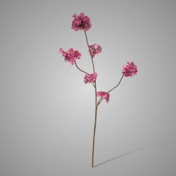Prunus Malaga spray lt peach 84cm