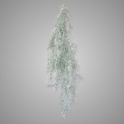 Tillandsia Hanger White 120 cm