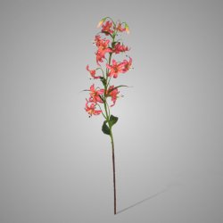 Cap Lily Pink 81 cm