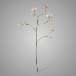 Day lily spray cream pink 106cm