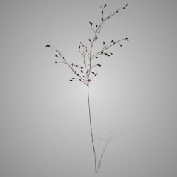 Wild Rose Bud Red 145 cm