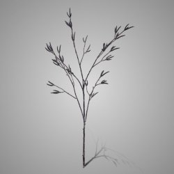 Twig Birch Brown 90 cm