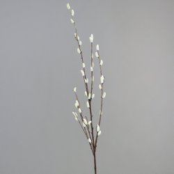 Pussy willow, 130 cm