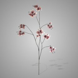 Prunus Grande Luxury Bright Pink 120cm