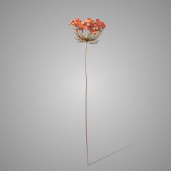 Anethum Copper 80 cm