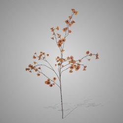 Cornus Carved Grande Brown  135 cm