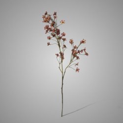 Cornus Purple M 92 cm