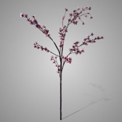 Prunus Grande Delight Pink 130cm
