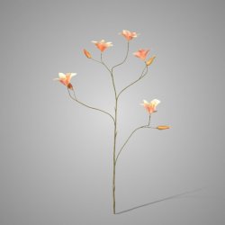 Day lily spray peach 106cm