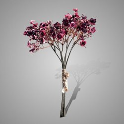 Bundle of 5 Stems Gypsophila Burgundy 30 cm