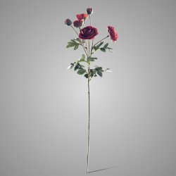 Ranunculus Dark Orange 66 cm
