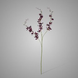 Cymbidium Dark Pink 78 cm