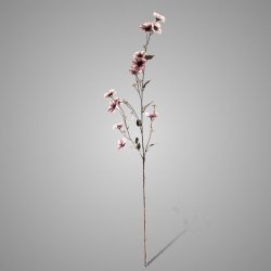 Hibiscus Grande Pink 100 cm