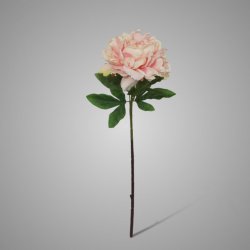 Peony Light Pink 61 cm