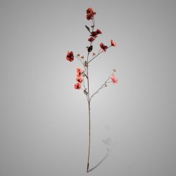Hibiscus Grande Red 100 cm
