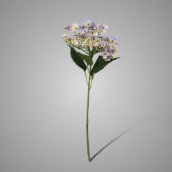 Butterfly Hydrangea Purple 70 cm