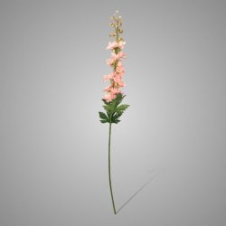 Delphinium Light Pink 79 cm