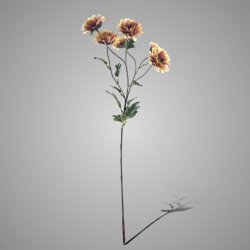 Chrysanthemum Autumn Delight 73cm