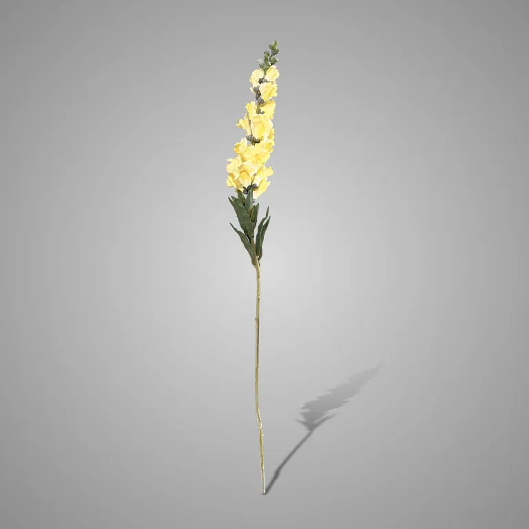 Antirrhinum Yellow 92 cm