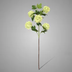 Viburnum Light Green 77 cm