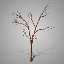 Branch Real Brown 116 cm