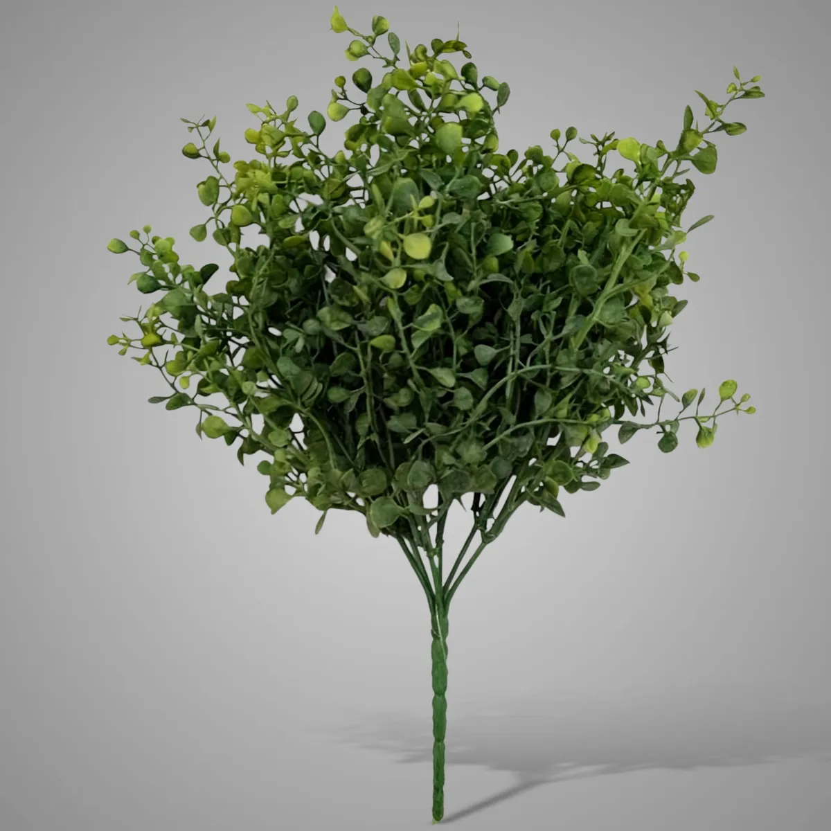 Ginkgo Bush Green 33 cm