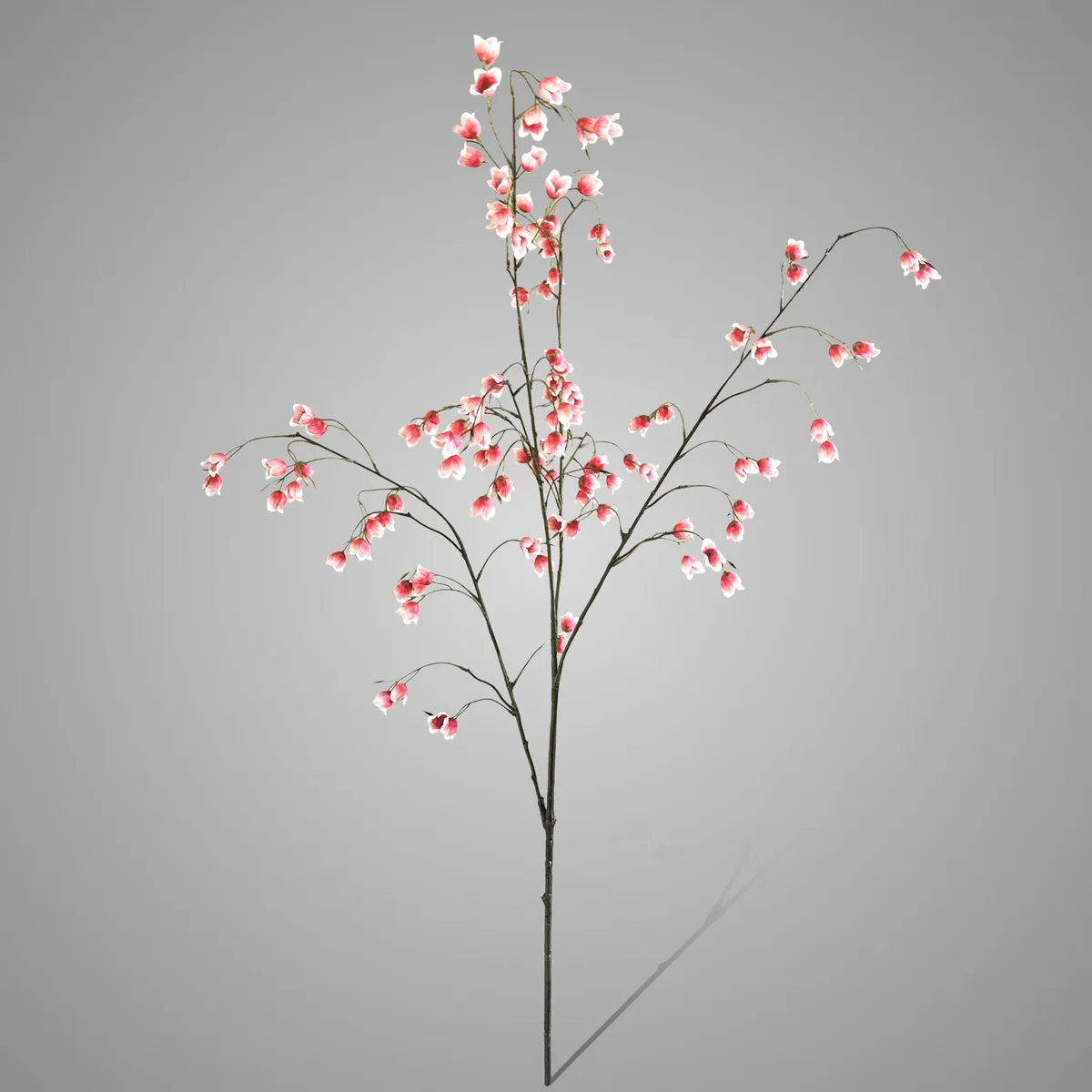 Lanternflower Orange Red 110 cm
