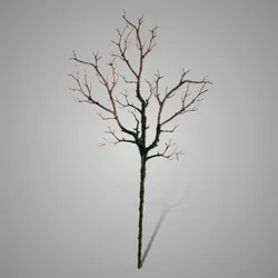 Branch Moss 80 cm
