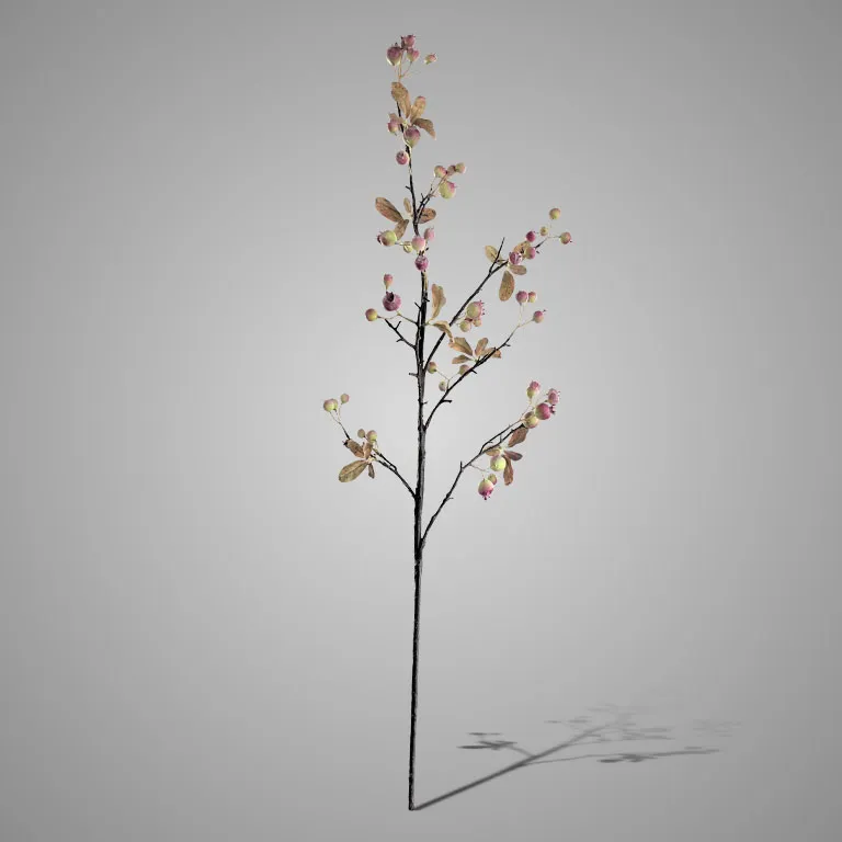 Malus Pink Green 150 cm