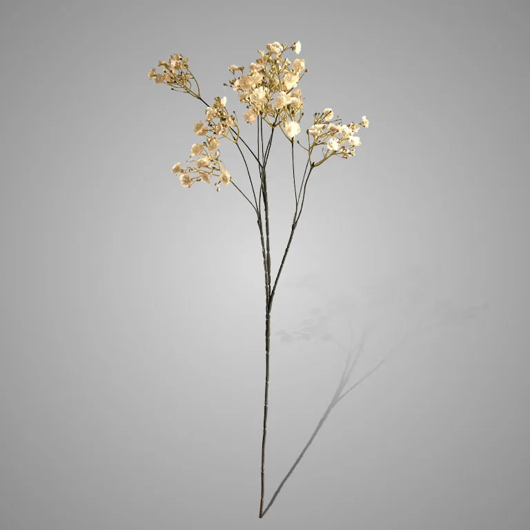 Gypsophila Off White 70 cm
