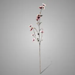 Hibiscus Grande Pink 100 cm