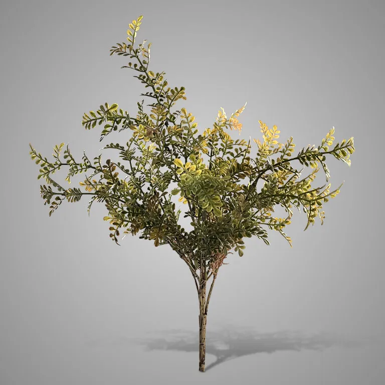 Bush Fern Finest Sylxz Autumn 42 cm